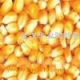 现金求购玉米高粱大豆小麦米糠粕等农产品
